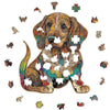 Załaduj obraz do przeglądarki galerii, Animal Jigsaw Puzzle &gt; Wooden Jigsaw Puzzle &gt; Jigsaw Puzzle Dachshund - Jigsaw Puzzle