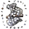 Załaduj obraz do przeglądarki galerii, Koala - Jigsaw Puzzle